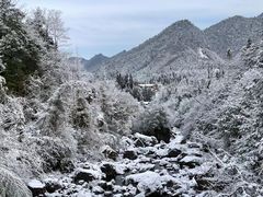 -龙苍沟森林公园