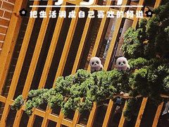 -囍榷·鲜美常州菜(恐龙园店)