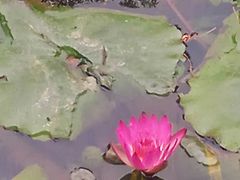 -云溪植物园