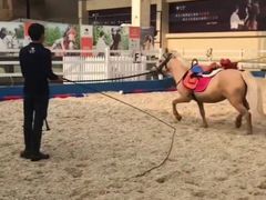 -骑乐马术(广州奥体优托邦中心)