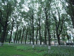 -吉林大学(前卫南区)