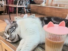 -小时光咖啡馆(开森度假森林店)