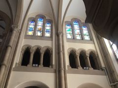 -上海佘山国家森林公园西佘山园