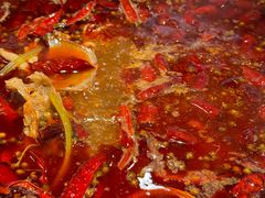 -销魂美蛙鱼头火锅(上海首店)