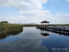 -太湖湖滨国家湿地公园-停车场