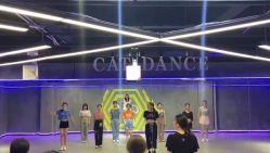-Cat Dance小野猫舞蹈室