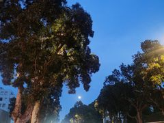 -伙工殿餐厅(吉大店)