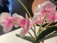 -大鸭梨烤鸭(望京店)