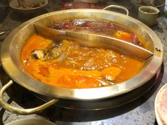 -小龙坎火锅(泉舜店)