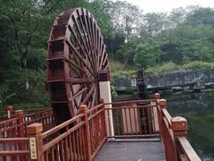 -重庆彩云湖湿地公园