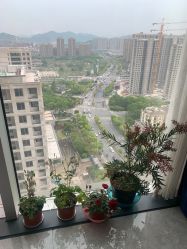 -丽复产后康复萧山旗舰中心