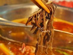 -丽清大别山鹅火锅(潜山路店)