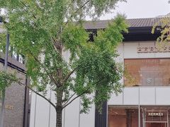 -Hermes爱马仕(成都远洋太古里店)