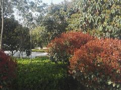 -王府井奥莱临潼小镇(临潼店)