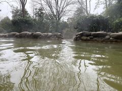 -三江森林温泉度假区