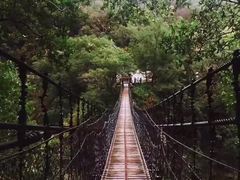 -太鲁阁公园