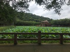-李小龙乐园(顺德均安店)