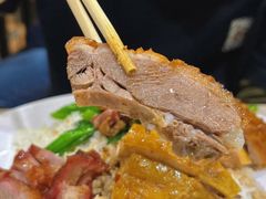 烧鹅-大聪烧鹅快餐店(梅林店)