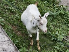 -敬亭山风景名胜区