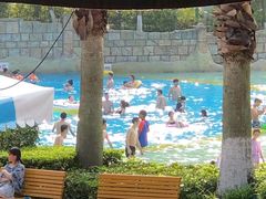 -重庆海昌加勒比海水世界