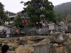 -老幺泉水鸡
