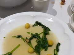 -眉州东坡(北苑华贸店)