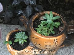 -写庭·鱼鲜川菜·宴请(铁像寺水街店)