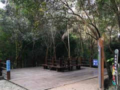 -上海佘山国家森林公园西佘山园