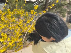 -潭溪山