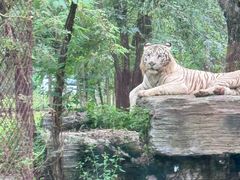 -秦皇岛野生动物园