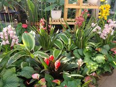 -国家植物园南园