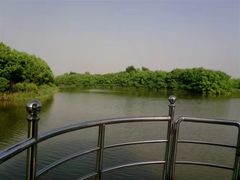 -大湾区中央湿地公园