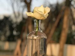 -悦哉·派对·草坪婚礼·围炉煮茶(三圣乡店)