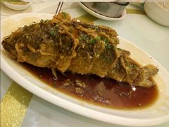 -金春禧(世茂国际广场店)