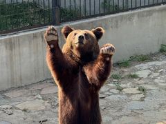 -石家庄市动物园