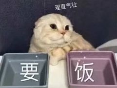 -CoCo都可(合生汇店)