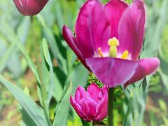 -长春公园(普阳街道)