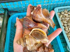 -海澄轩海鲜酒家(虎门店)