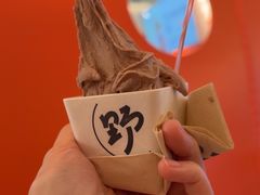 -野人先生现做冰淇淋(北京王府井东方新天地店)