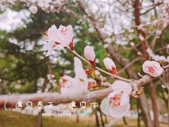 -北海公园