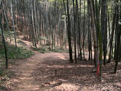 -西湖风景区十里琅珰-五云山