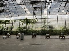 -前小桔亲子创意农场·草莓采摘·露营烧烤