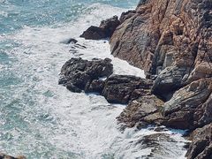 -广东惠东海龟国家级自然保护区