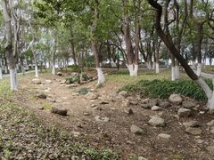 -燕鸣岛