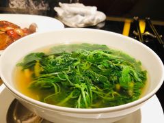 上汤绿苋菜-北京四季酒店·采逸轩