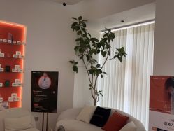 -WENDY·温迪皮肤管理