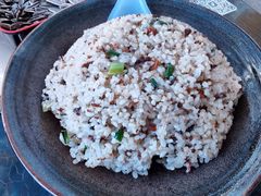 -蘑统田下·野生菌火锅