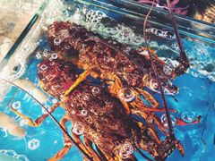 -江杨农产品批发市场