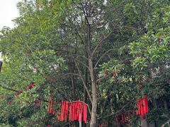 -巴倒烫陆派火锅山庄(南山总店)
