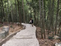 -石台牯牛降景区